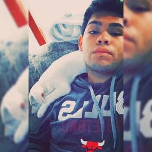 Meet your Posher, Nacho