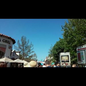 Meet your Posher, Daniela