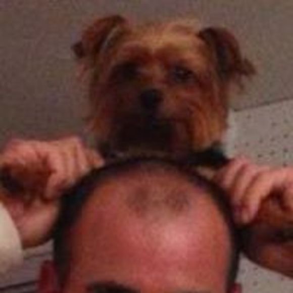 Meet your Posher, Yaniv