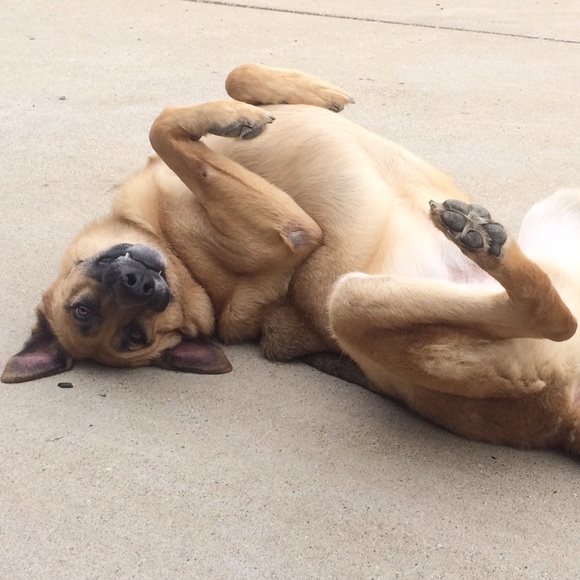 Meet your Posher, Angie - Picture 2 of 2