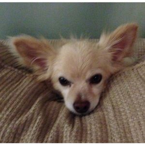 Meet your Posher, Heather