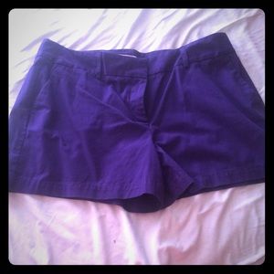 Loft size 12 purple shorts. Never worn