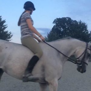 Meet your Posher, Payton