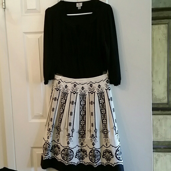Skirt/ Shirt Outfit