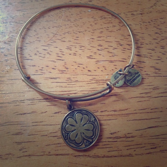 Alex and Ani lucky charm bracelet