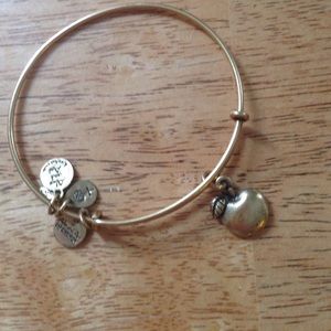 Alex and Ani charm bracelet