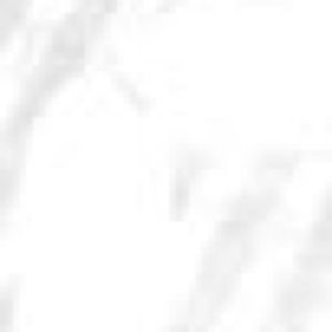 Meet your Posher, Doug