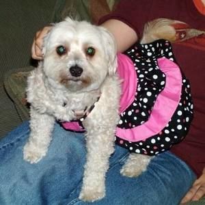 Meet your Posher, Beth