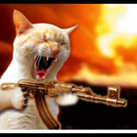 Meet your Posher, Molly - Picture 1 of 1