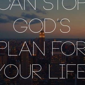 Meet your Posher, Katelyn