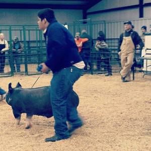 Meet your Posher, Josh