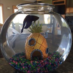 Meet your Posher, Lindsay