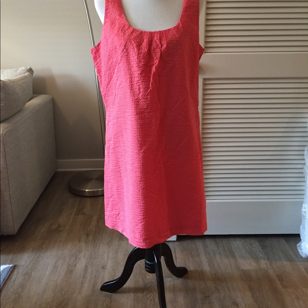 NWT Size 14 J.Crew dress