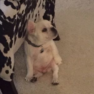 Meet your Posher, Jared