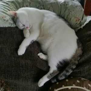 Meet your Posher, Mary