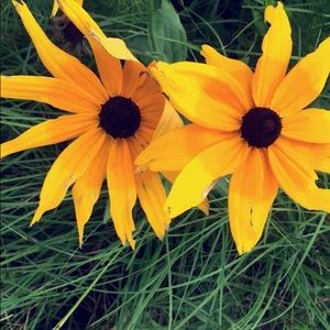 Meet your Posher, Victoria