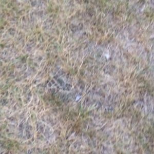 Meet your Posher, Michaela