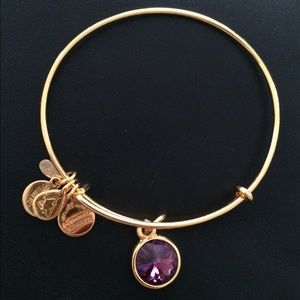 Authentic ALEX AND ANI Bangle