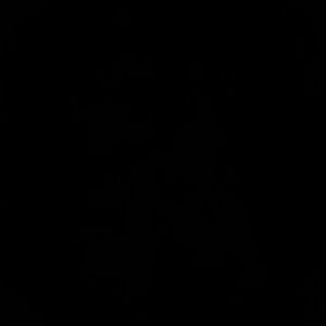 Meet your Posher, Princess