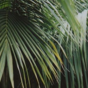 Meet your Posher, Sierra