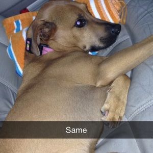 Meet your Posher, Austin