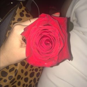 Meet your Posher, Rachel