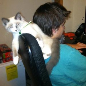 Meet your Posher, Connie