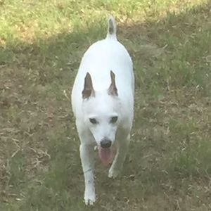 Meet your Posher, Pam