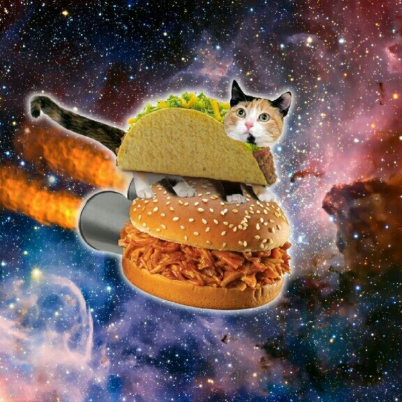 Meet your Posher,☆ Roxy ☆ - Picture 2 of 2