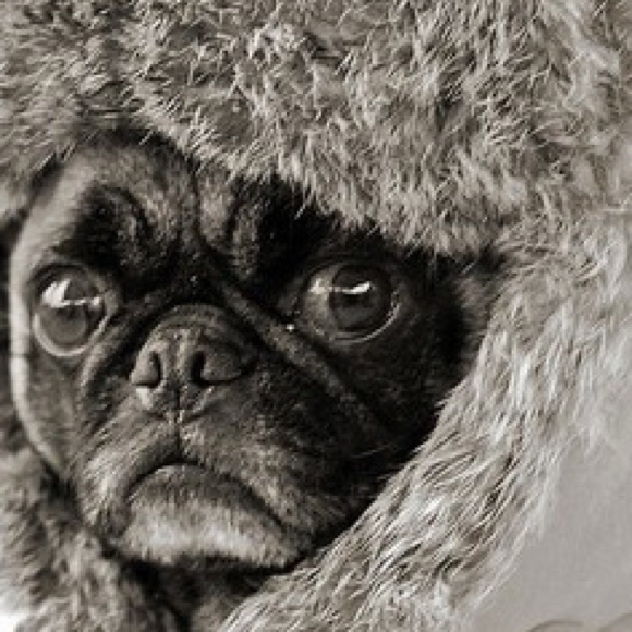 Meet your Posher, Zabrina