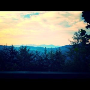 Meet your Posher, Jessie