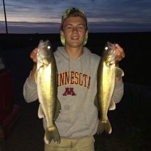 Meet your Posher, Avery