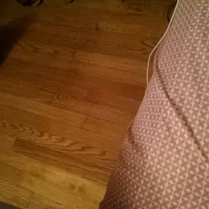 Meet your Posher, Ellia