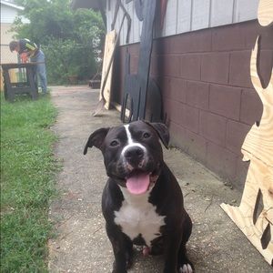 Meet your Posher, Rich