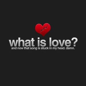 Meet your Posher, Echo