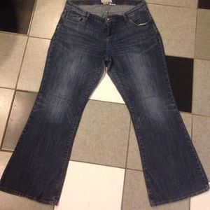 Maurices flare Jean