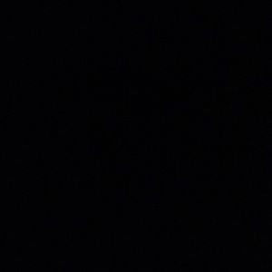 Meet your Posher, Autumn