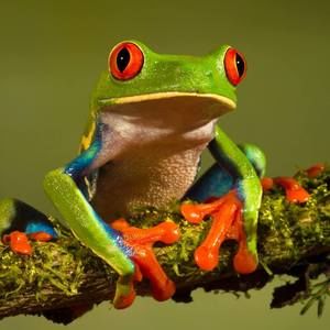 Meet your Posher, Ranielle