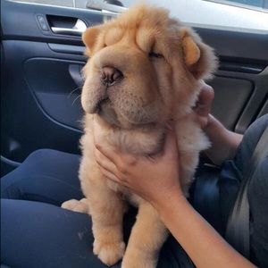 Meet your Posher, Marisol