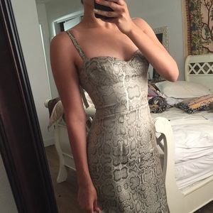 Fitted snake skin print cocktail dress