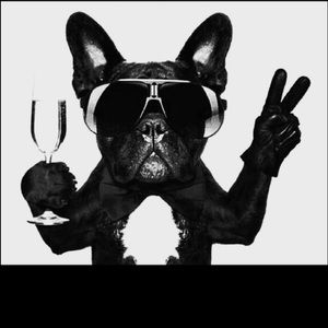 Meet your Posher, Elan