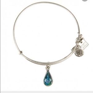 Alex and Ani raindrop silver bracelet