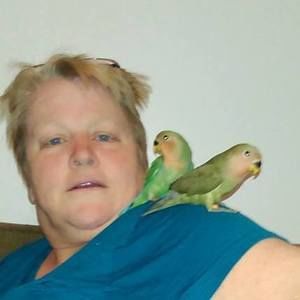 Meet your Posher, Dora