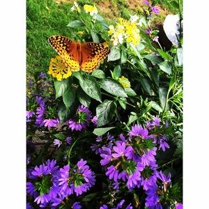 Meet your Posher, Kathryn