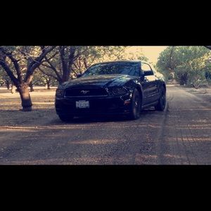 Meet your Posher, Sergio