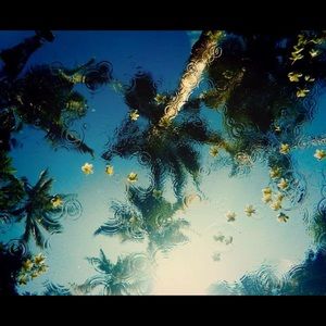 Meet your Posher, Elodie