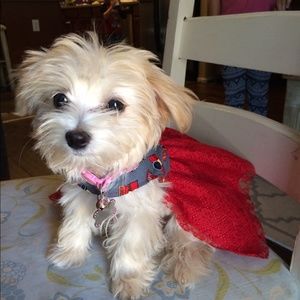 Meet your Posher, Shae