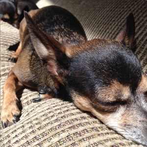 Meet your Posher, Jamie