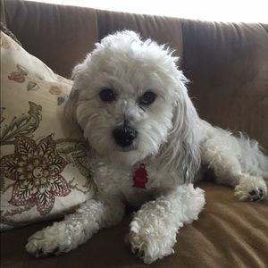 Meet your Posher, Karly