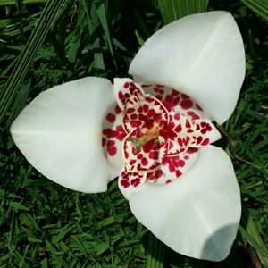 Meet your Posher, Leigh